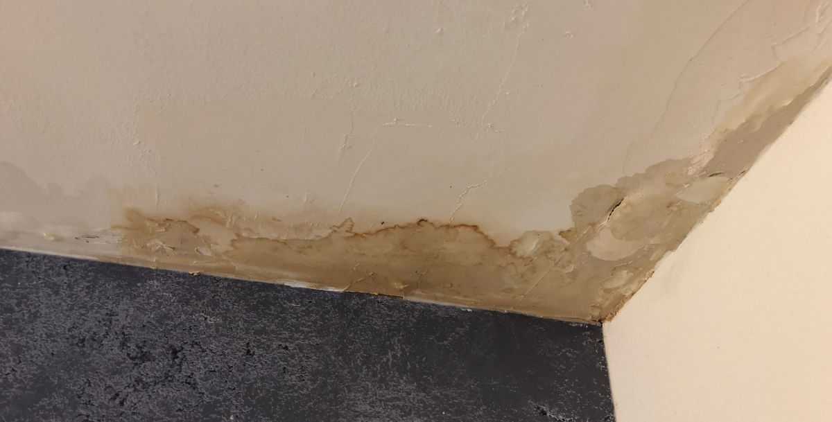 Ceiling Leak Repair GTA