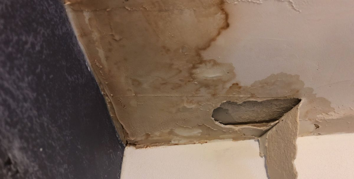 Ceiling Leak Repair Services