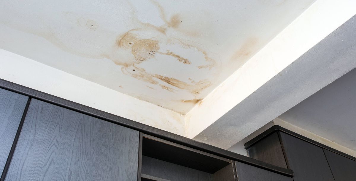 Ceiling Leak Repair
