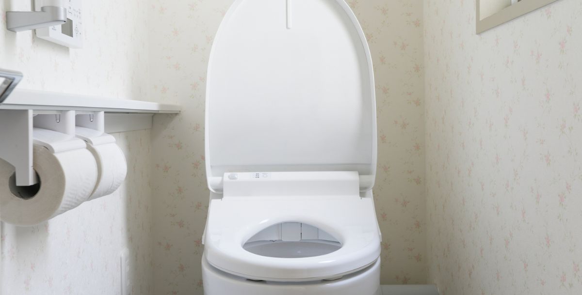 toilet repair services